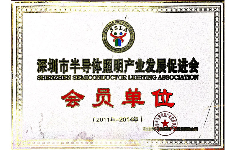 Member of Shenzhen Semiconductor Lighting Industry Development Promotion Association